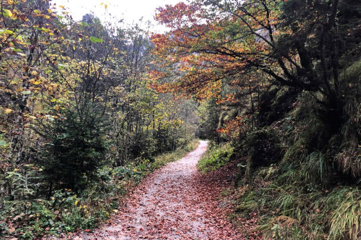 Impressionen aus der Kundler Klamm 3. Foto: Anna Siebenbrunner