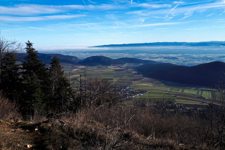Foto: Gerold Petritsch