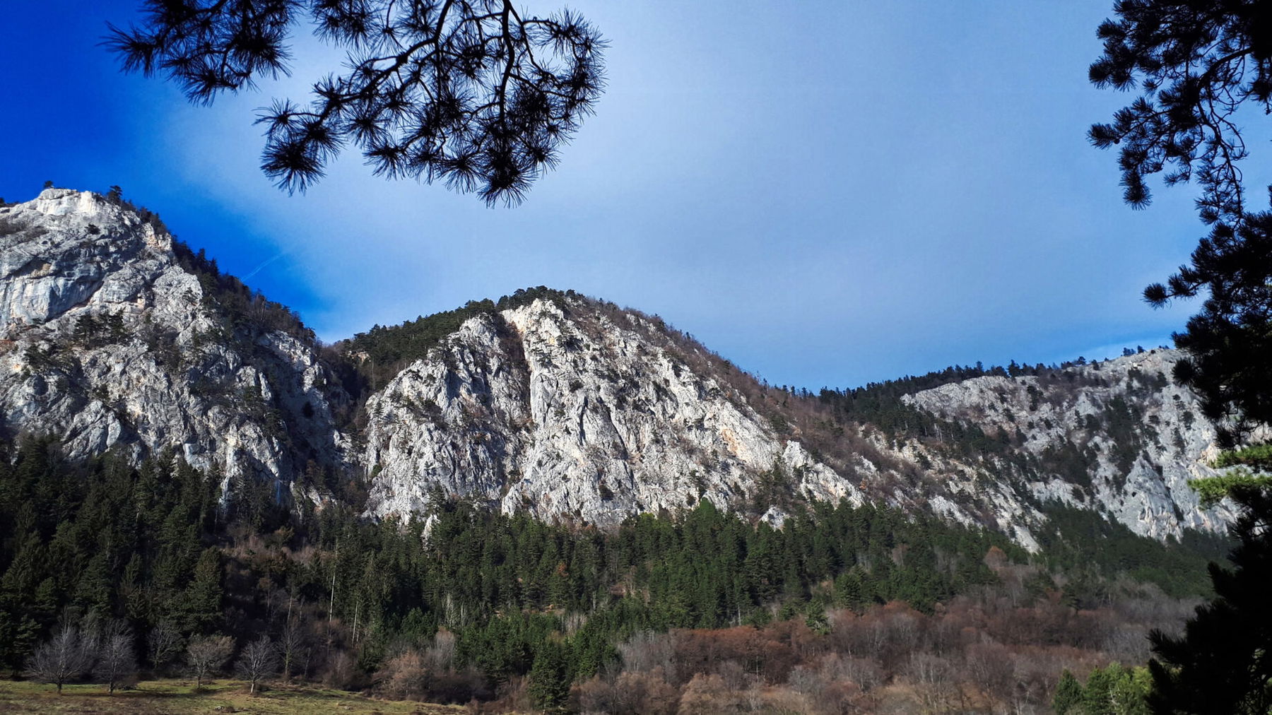 Foto: Gerold Petritsch