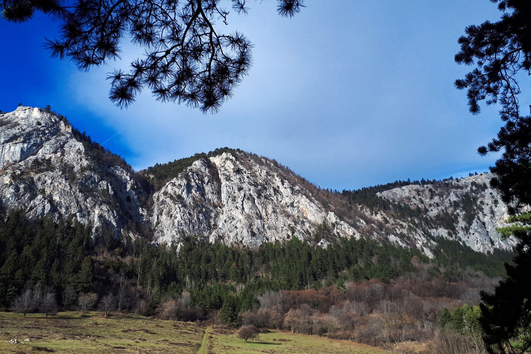 Ein Hupfer auf die Hohe Wand