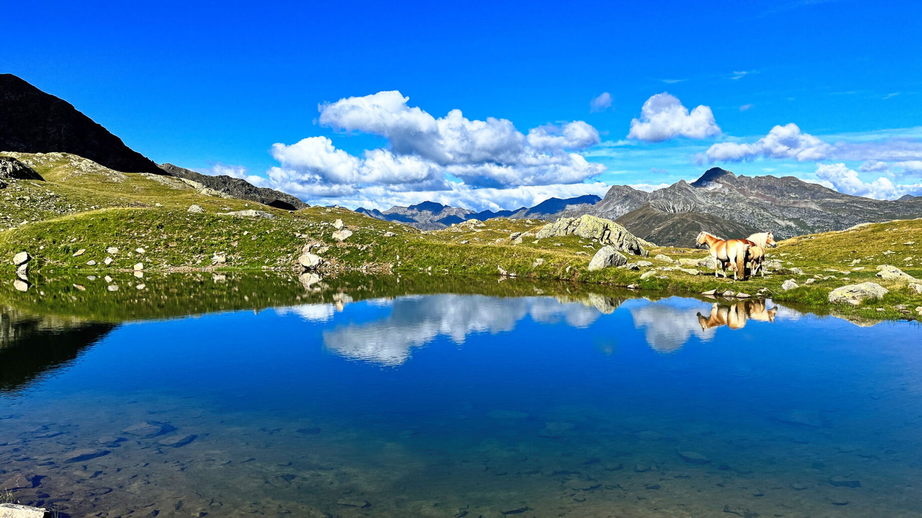 Ein See am Weg. Foto: Birgit Matzinger