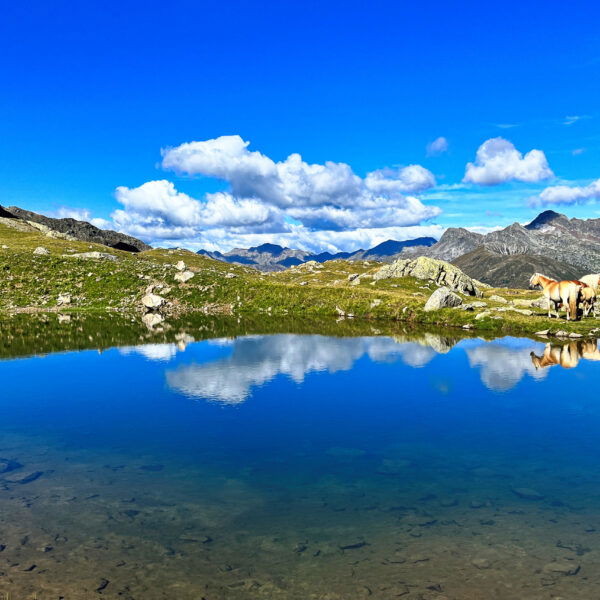 Ein See am Weg. Foto: Birgit Matzinger
