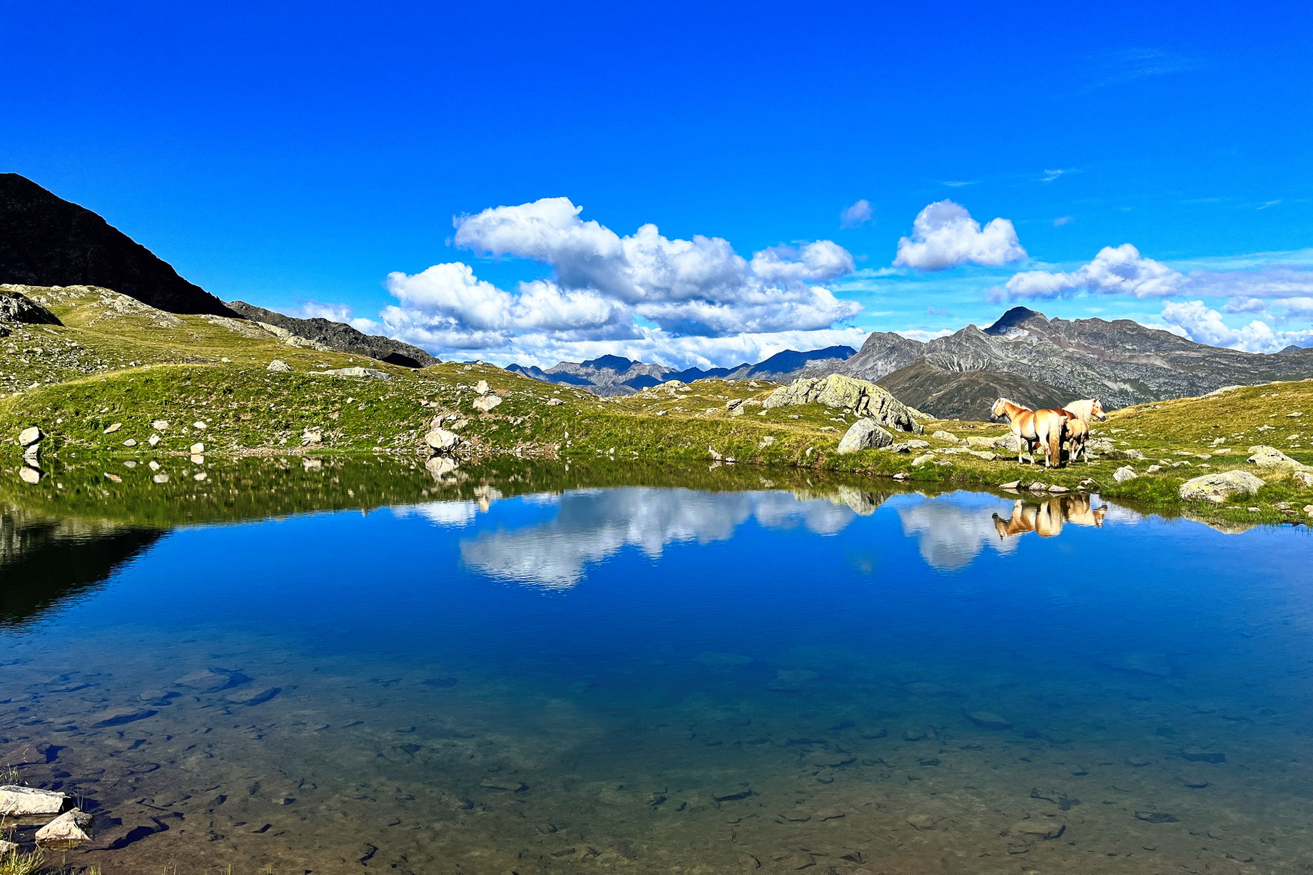 Ein See am Weg. Foto: Birgit Matzinger