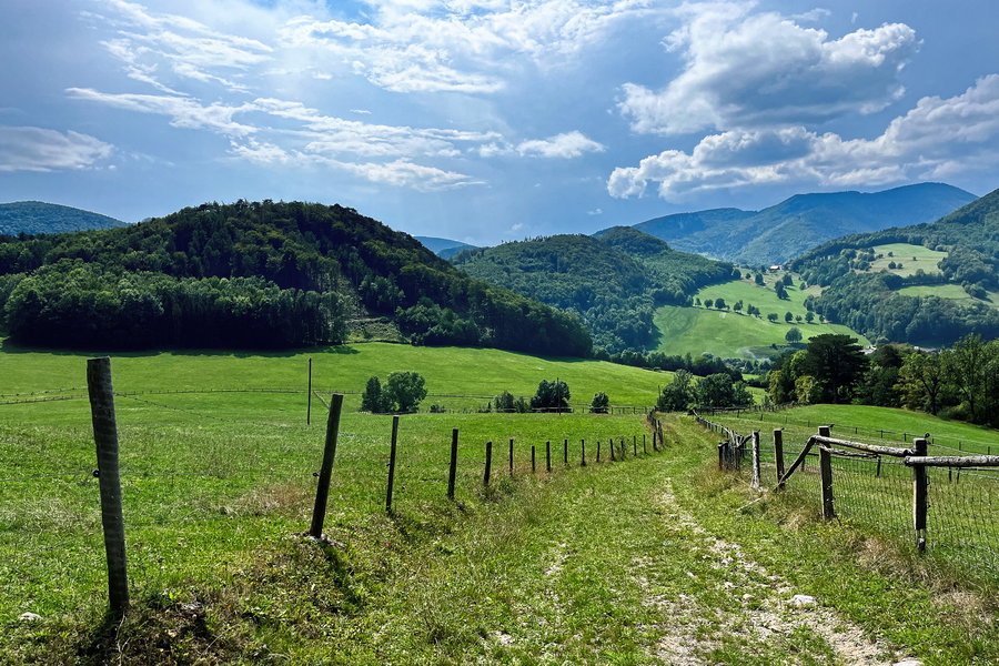 Am Weg nach Furth an der Triesting. Foto: Birgit Matzinger