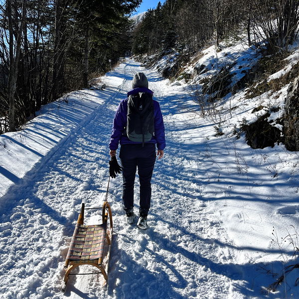 Ein Rodelspaziergang am Schneeberg