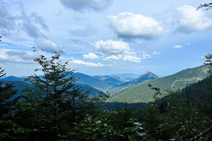 Aussicht bei der Enzianhütte. Foto: Birgit Matzinger