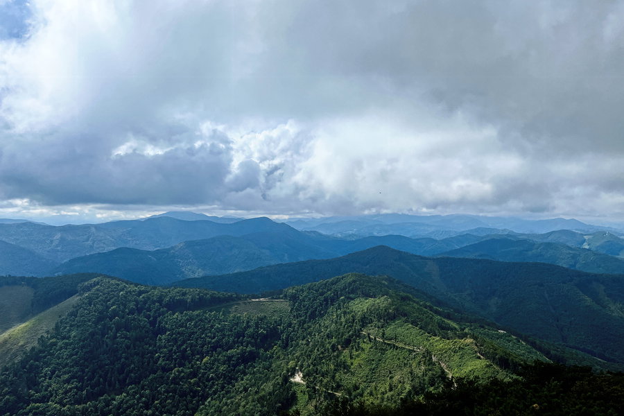 Ausblick von der Aussichtswarte. Foto: Birgit Matzinger