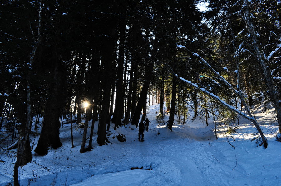 Es wechseln sich Waldwege mit… Foto: Norman und Lisa