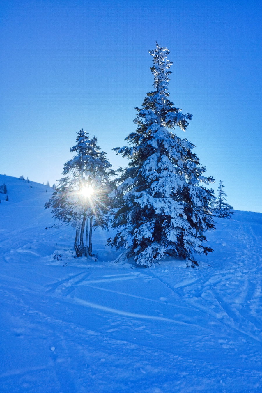 Wintermärchen auf der Feldalm. Foto: Nikolaus Vogl