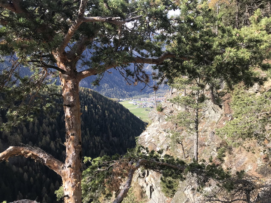 Blick ins Ötztal auf Umhausen. Foto: David Kurz