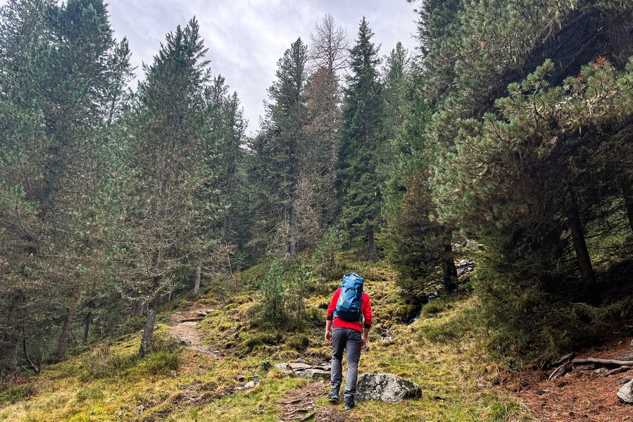 Waldweg. Foto: Anna Ölz, Protect Our Winters Austria (POW AT)
