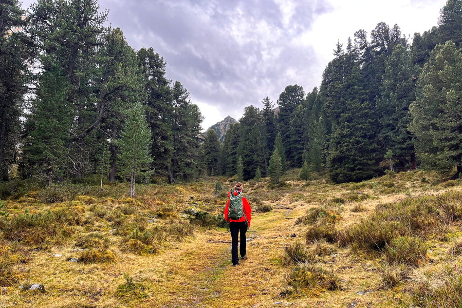 Foto: Anna Ölz, Protect Our Winters Austria (POW AT)