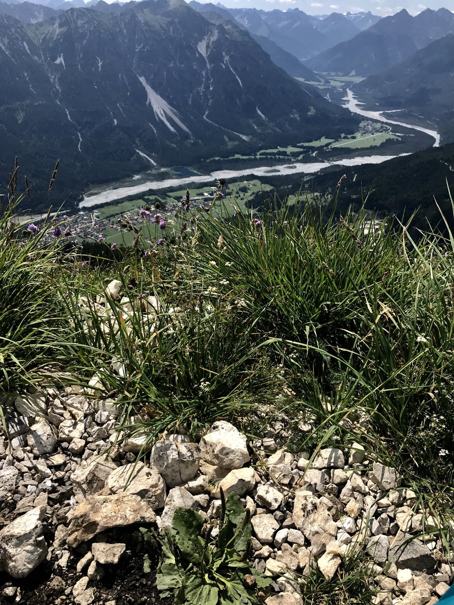 Lechtal vom Gipfel der Gaichtspitze. Foto: Anna Mauritsch