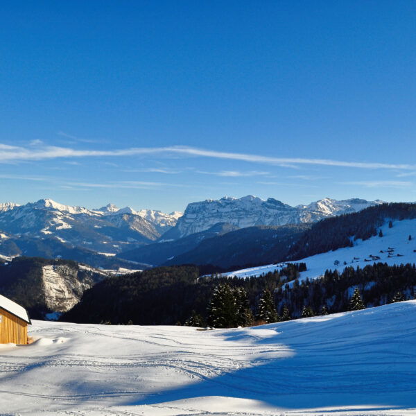 Moderate Steigung, feiner Firn und ein schöner Blick auf die Kanisfluh. Foto: Norman und Lisa