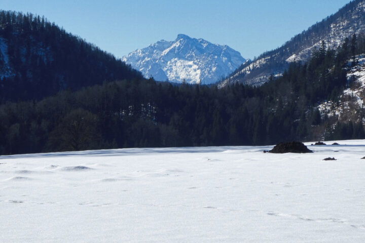 Seine Alpenmajestät - der Hochkalter. Foto: Karl Plohovich