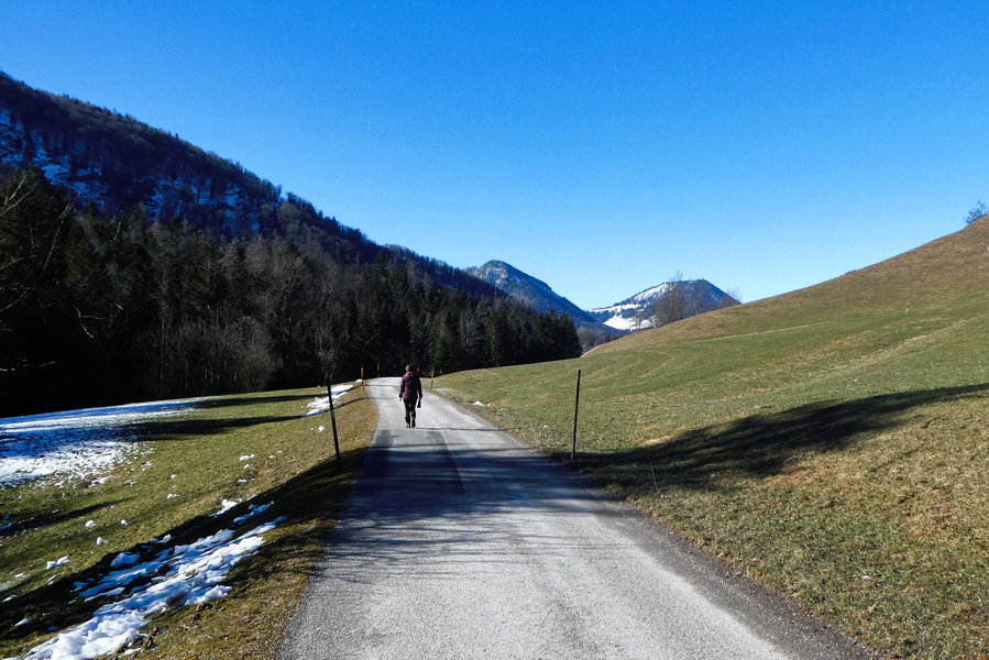 Vorfrühling. Foto: Karl Plohovich