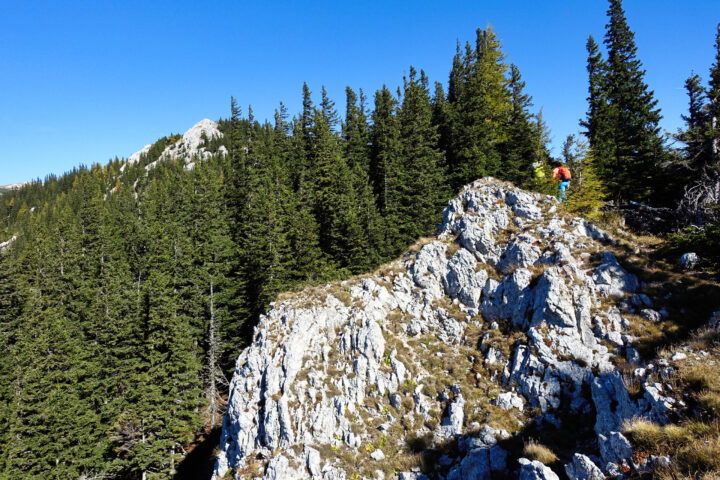 Im Aufstieg auf den Krummbachstein 2. Foto: Alpenverein Edelweiss