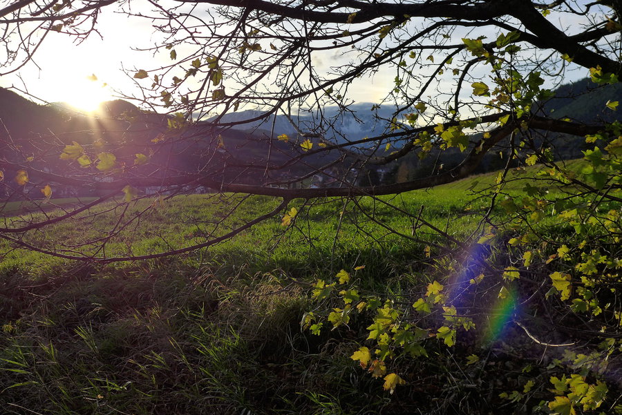 Impression am Start bei Grünbach. Foto: Alpenverein Edelweiss