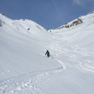 Mitterzeigerkopf