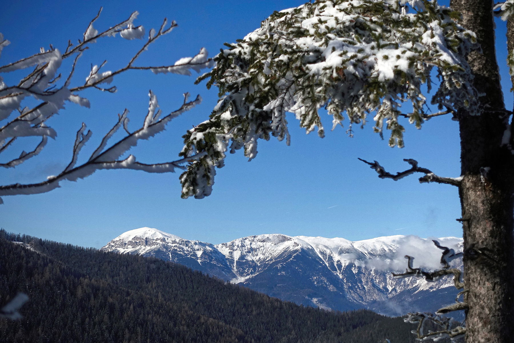 Pinkenkogelrunde am Semmering