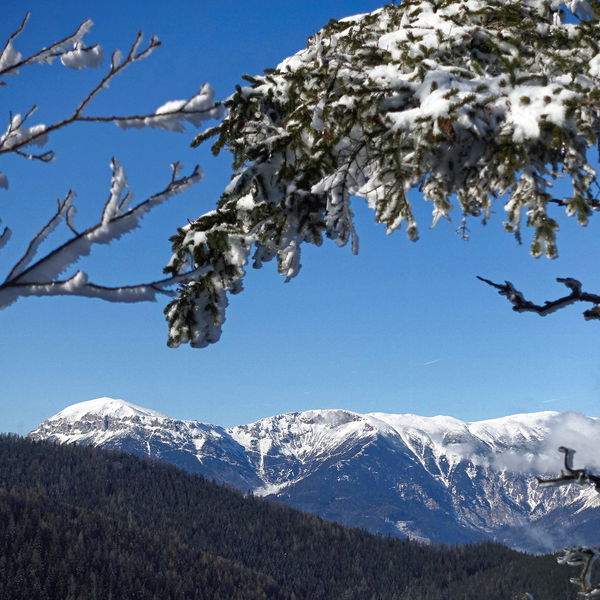 Pinkenkogelrunde am Semmering