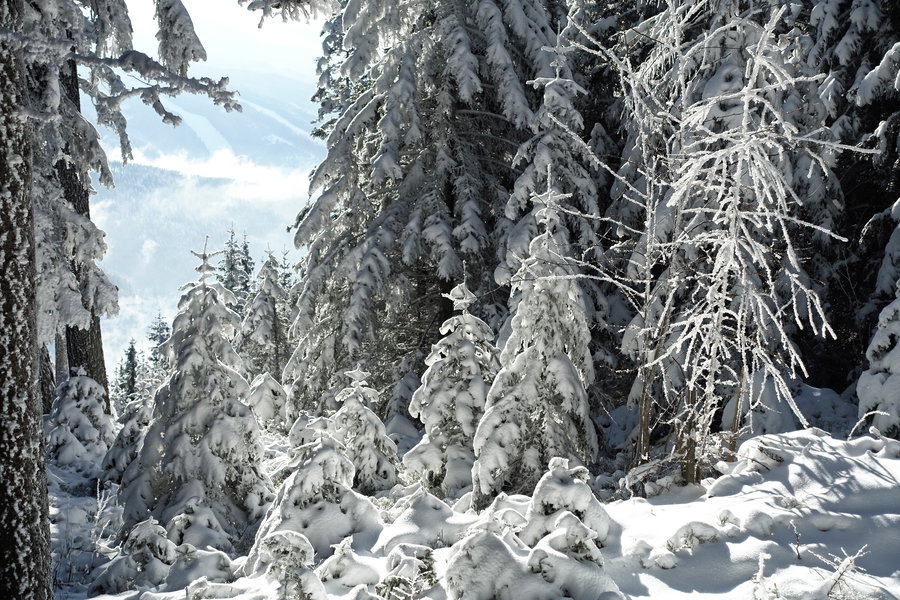 Foto: Gerold Petritsch