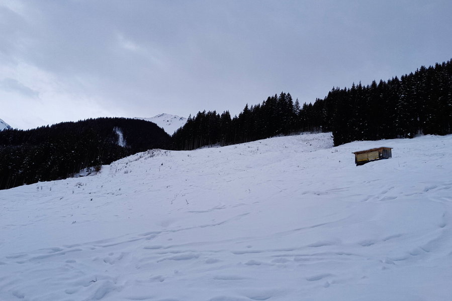 Ein Bild sagt mehr als tausend Worte: Die Schnee(mangel)lage in der Wildschönau anno 2023. Foto: Protect Our Winters Austria (POW AT)