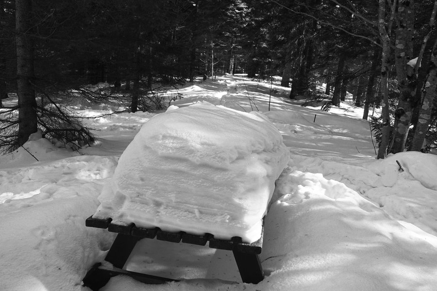 Foto: Gerold Petritsch