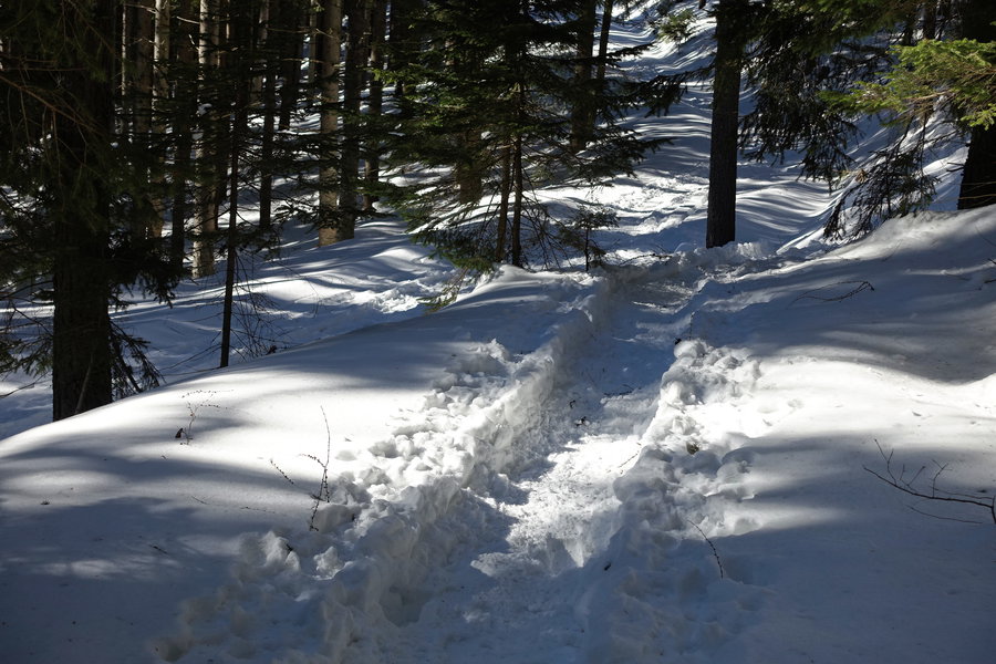 Foto: Gerold Petritsch