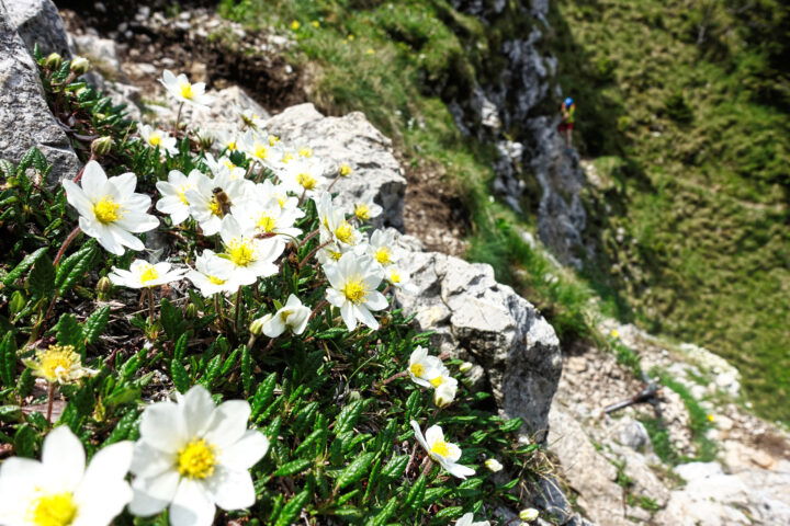 Bei der Höllentalaussicht 1. Foto: Alpenverein Edelweiss