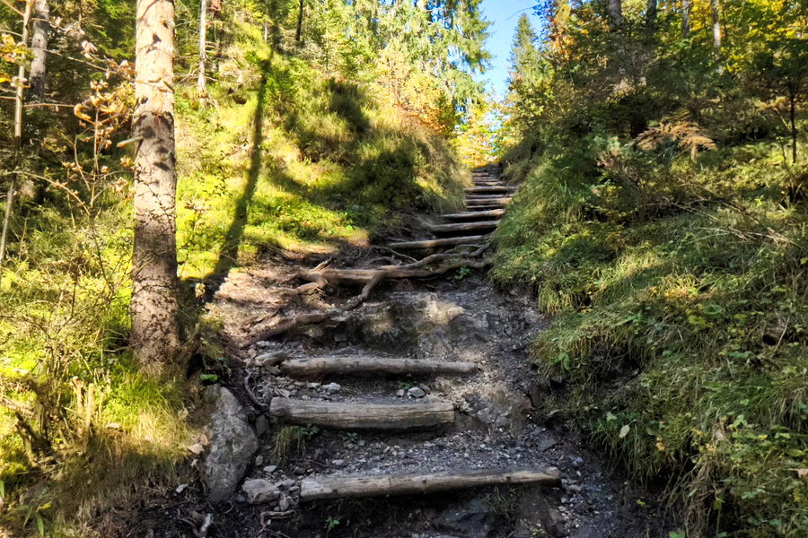 Wir müssen einen kleinen Naturdamm überschreiten. Über Stufen gelangen wir an den höchsten Punkt, dann durch ein Gatter hindurch, um wieder abwärts zu gehen. Hier finden wir Hinweisschilder auf Jungwild, eine große Fütterung ist nicht weit entfernt. Foto: Protect Our Winters Austria (POW AT)