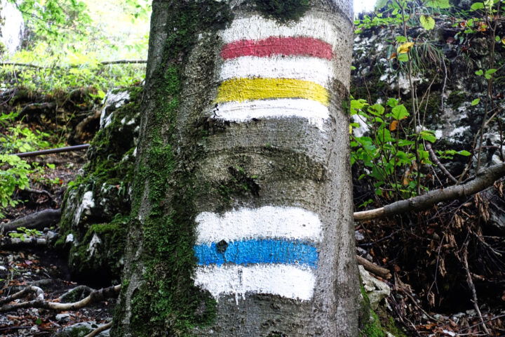 Kunterbunt markiert am Beginn des Zustiegs. Foto: Alpenverein Edelweiss