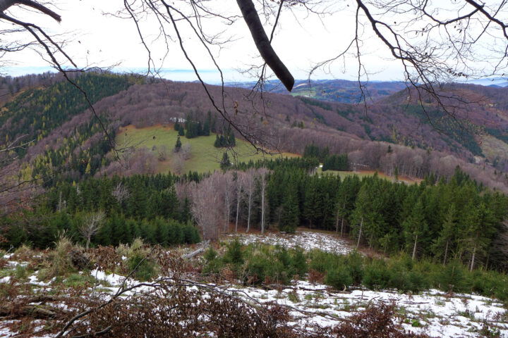 Zwischen Hohenstein und Ebenwiesen 2. Foto: Alpenverein Edelweiss