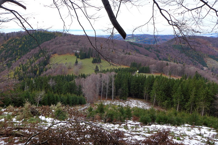 Zwischen Hohenstein und Ebenwiesen 2. Foto: Alpenverein Edelweiss