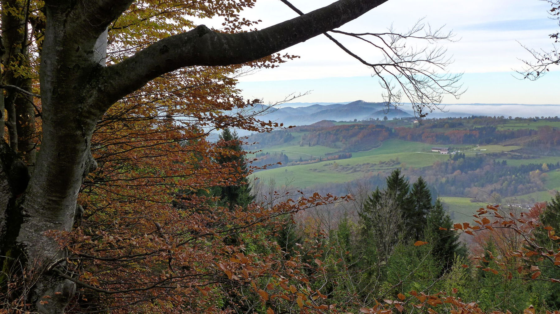 Ausblick ins Voralpenland. Foto: Alpenverein Edelweiss