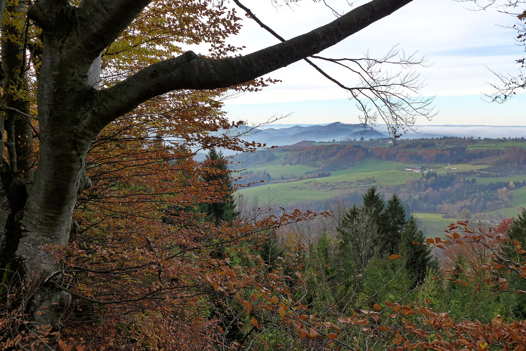 Ausblick ins Voralpenland. Foto: Alpenverein Edelweiss
