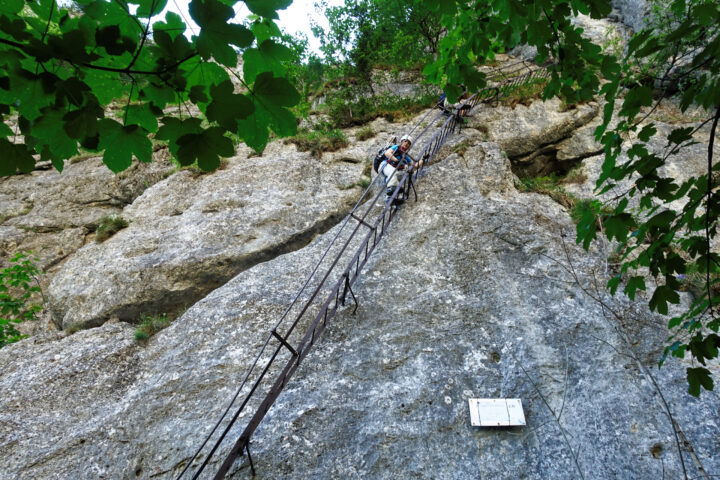Die lange Einstiegsleiter. Foto: Alpenverein Edelweiss