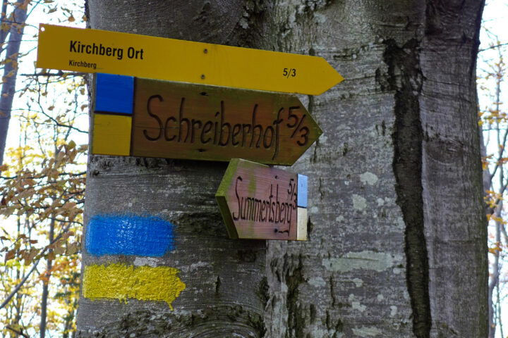 Im Abstieg nach Kirchberg an der Pielach 2. Foto: Alpenverein Edelweiss