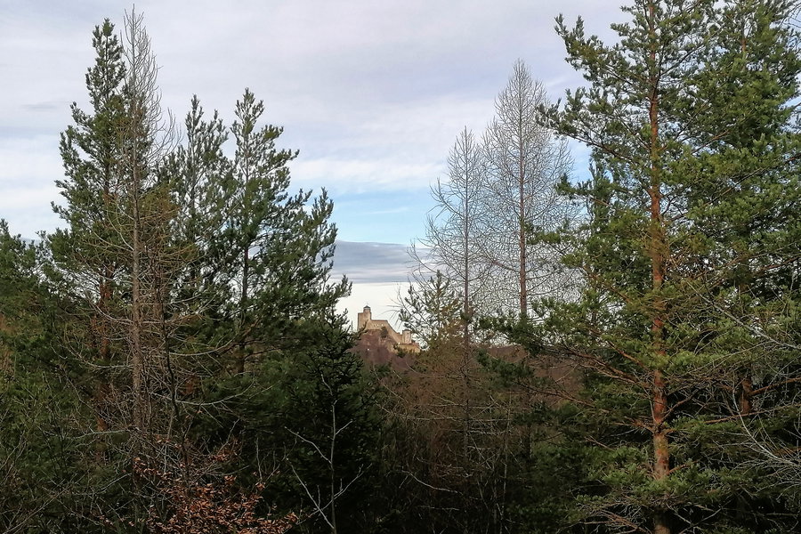 Auf die Araburg zu. Foto: Sarah Pallauf