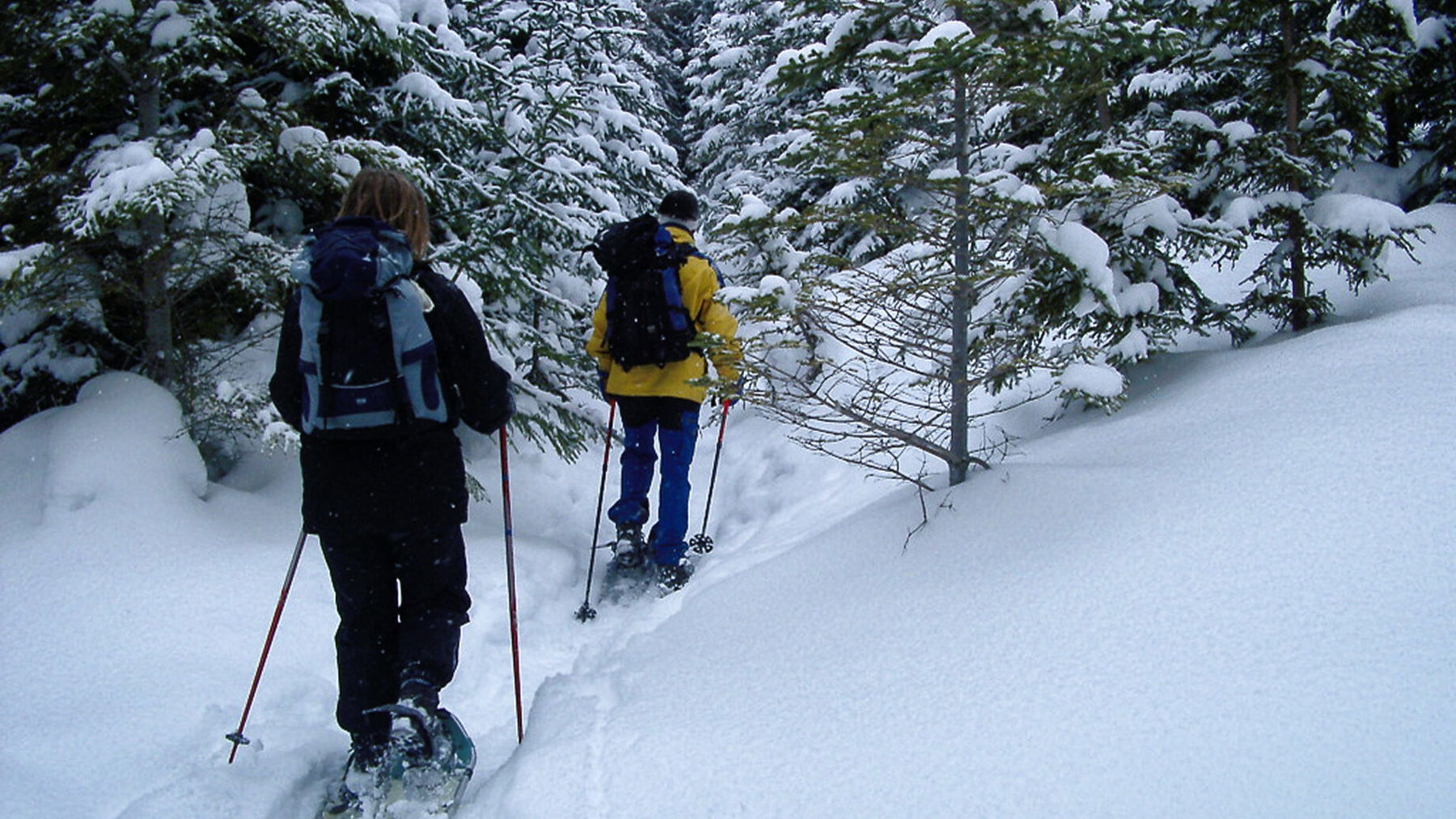 Aufstieg über den Stürzerkogel. Foto: Alpenverein Edelweiss