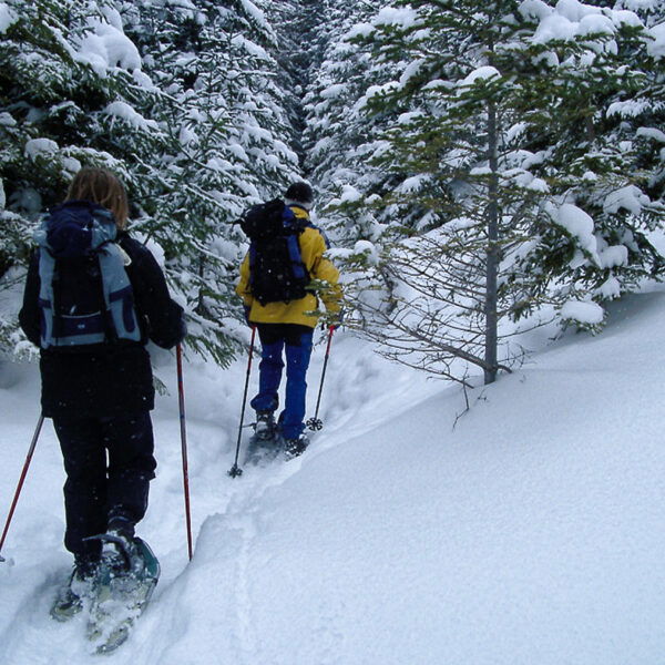 Aufstieg über den Stürzerkogel. Foto: Alpenverein Edelweiss