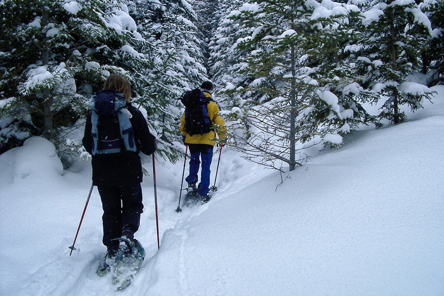 Aufstieg über den Stürzerkogel. Foto: Alpenverein Edelweiss