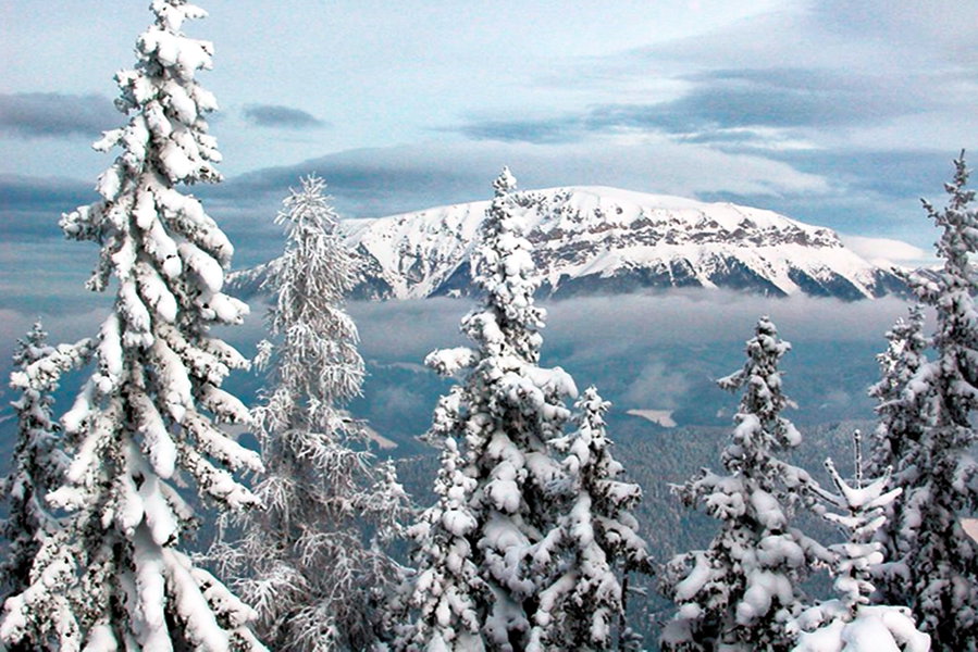 Ausblick vom Kreuzschober zur Rax. Foto: Alpenverein Edelweiss