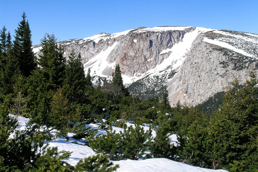Blick vom Seeweg zu Bärengrube und Scheibwaldhöhe. Foto: Alpenverein Edelweiss