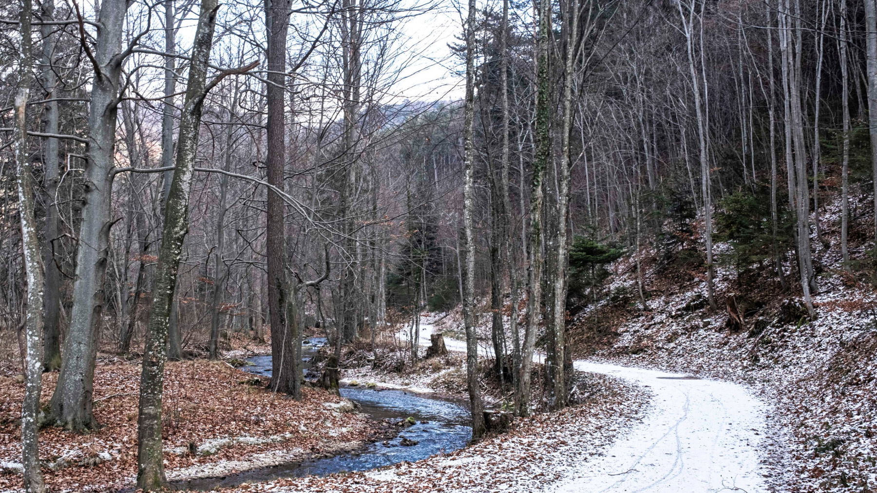 Entlang der Sieding. Foto: Birgit Reiter