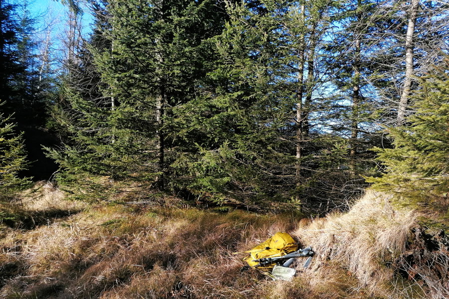 Sonnenpause nach dem Pinkenkogel. Foto: Sarah Pallauf