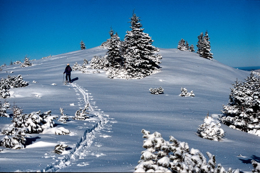 Typische Plateaustimmung. Foto: Alpenverein Edelweiss
