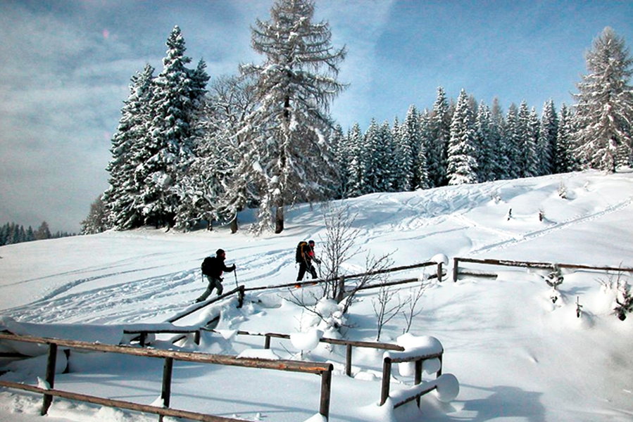 Zwischen Kaarlhütte und Kreuzschober. Foto: Alpenverein Edelweiss