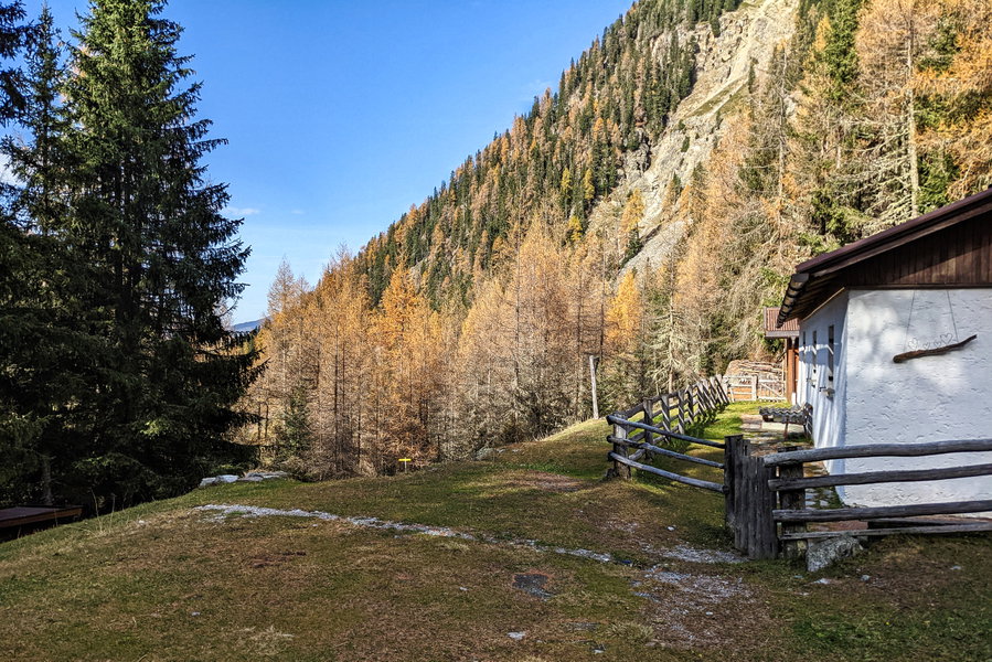 Am Ende der Almwiese halten wir uns rechts, und folgen dem Wegweise Richtung “Unterhäuser-Vergötschen” in den Wald hinein. Foto: Thomas Obermair, Protect Our Winters Austria (POW AT)