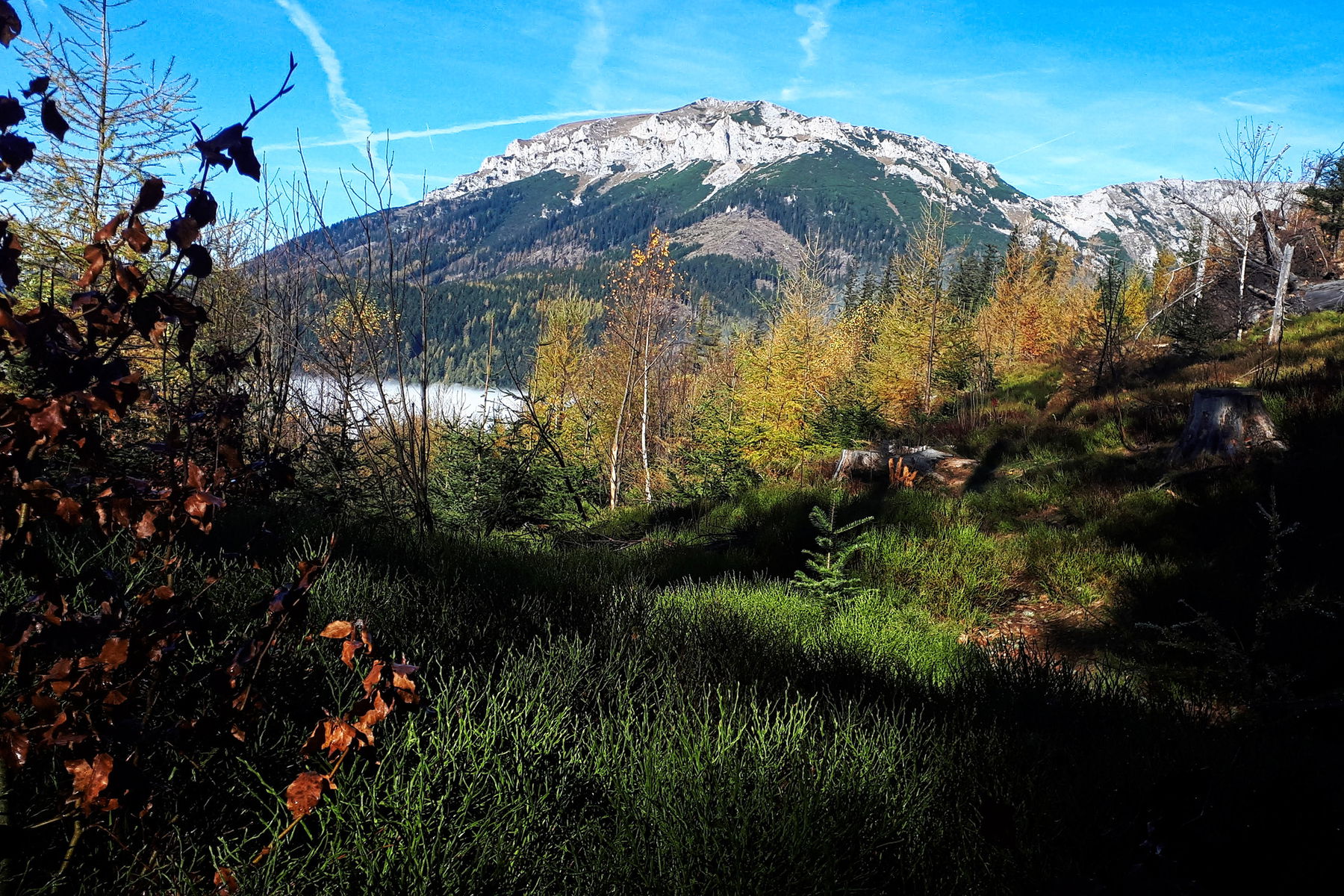 Über die Große Scheibe zur Rax